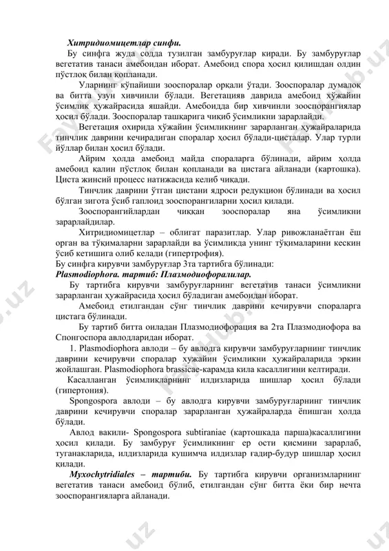 ади. касалланган ўсимликларнинг илдизларида шишлар ҳосил бўлади (гипертония). spongospora авлоди – бу авлодга кирувчи замбуруғларнинг тинчлик даврини кечирувчи споралар зарарланган ҳужайраларда ёпишган ҳолда бўлади. авлод вакили- spongospora subtiraniae (картошкада парша)касаллигини ҳосил қилади. бу замбуруғ ўсимликнинг ер ости қисмини зарарлаб, туганакларида, илдизларида кушимча илдизлар ғадир-будур шишлар ҳосил қилади. myxochytridiales – тартиби. бу тартибга кирувчи организмларнинг вегетатив танаси амебоид бўлиб, етилгандан сўнг битта ёки бир нечта зооспорангияларга айланади. бу туркум 2та оиладан иборат: 1) olpidium. 2) sinchytrium. бу оилалар бир-биридан зооспорангийларни сони билан фарқ қилади. olpidium оиласи. бу оилага кирувчи замбуруғларнинг амебоиди битта зооспорангий ёки тинчлик даврининг кечирувчи спорангий ҳосил қилади. olpidium авлоди вакили o. bracecae замбуруғи-карамда қора сон касаллигини қўзғатади. 1. sinchytrium оиласи. зарарланган ҳужайрада пайдо булган амебоид бир нечта зооспорангий ҳосил қилади. оила вакили синхитриум эндобиотикум-картошкада рак касаллигини қўзғатади.