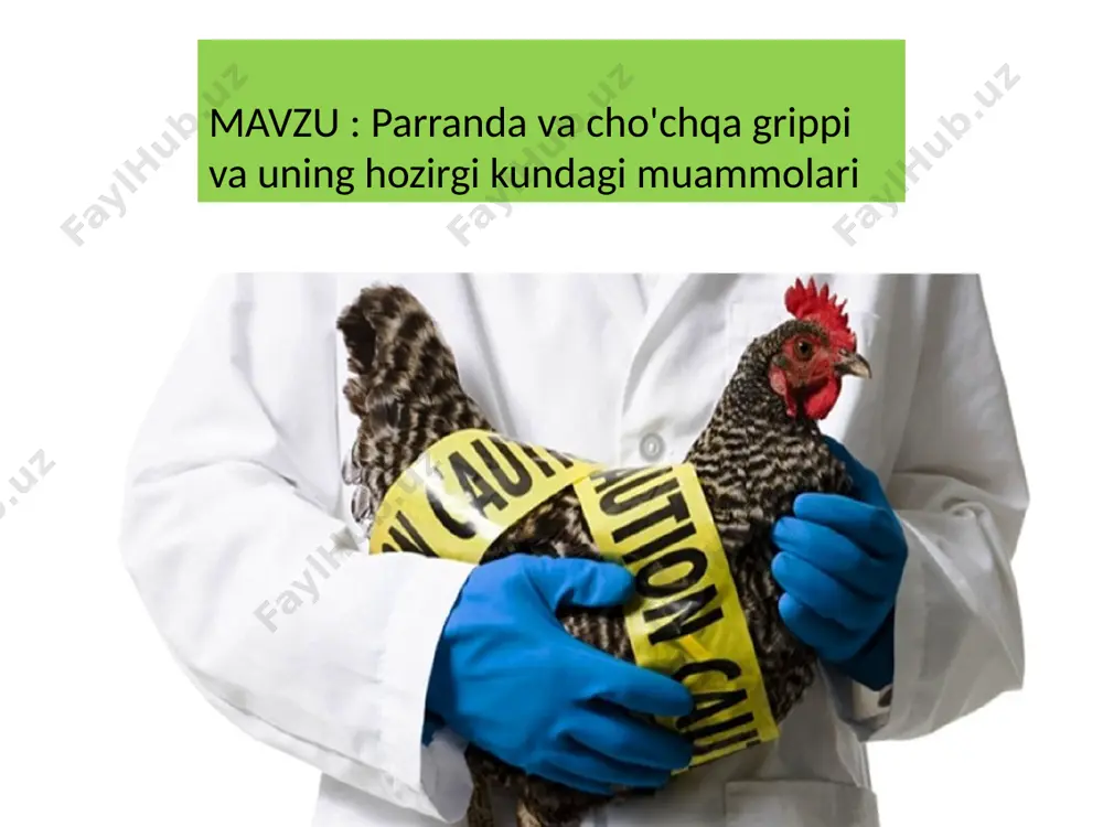 pidemiya (pandemiya), 40 yildan ortiq vaqt mobaynida birinchi gripp epidemiyasi bo'lib o'tdi. buning oqibatida cho'chqa go'shti, qush (qush) va inson geni bilan birga aralashgan va odamlarga yoyilgan inson genlari bo'lgan h1n1 tipidagi a grippi virusi sifatida ma'lum bo'lgan yangi gripp virusi paydo bo'ldi. qizig'i shunda-ki, cho'chqa grippi simptomlari oddiy gripp simptomlariga o'hshashdir. ular: - tana haroratining birdan ko'tarilishi; - sovqatish; - tananing sim-sim o'grishi; - bosh og'rishi; - ko'z qizarib ketish hollari mavjud, chiroqqa qarash qiyin; - tomoq qizarishi, yo'tal, burun bitishi kam kuzatiladi. inkubasion davr bir necha soatdan 1 haftagacha. (95% holatlarda 1-3 kun) ko'p hollarda uyda qolib, tinch bo'lish, ko'p suyuqlik ichish va og'riq tushuradigan dorilarni qabul qilish mumkin. bolalar va yoshlarda reye sindromi rivojlanmasligi uchun aspirini bo'lmagan og'riqni qoldiruvchi dorilarni berish kerak. cho'chqa grippi bilan kasal bo'lmaslik uchun nima qilish kerak? cho'chqa grippi bilan kasal bo'lmaslik uchun quyidagilarni amalga oshirgan ma'qul: - burun va og'zingizni ushlamang; - …
