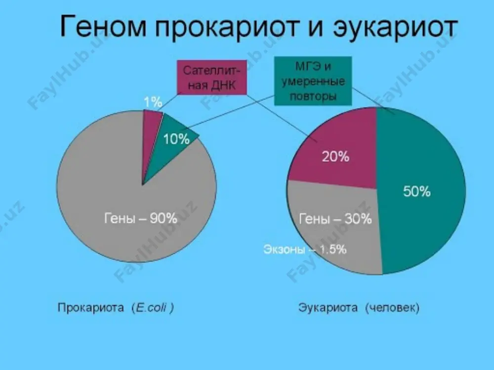 ингиз учун рахмат эътиборингиз учун рахмат! *