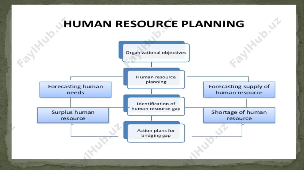 human resource planning - Page 3