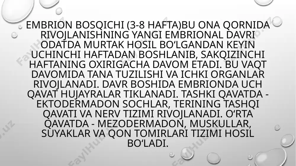 zigota bosqichi haqida - Page 5