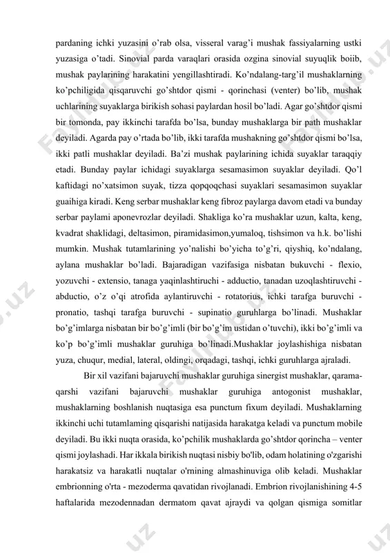 batan bir bo’g’imli (bir bo’g’im ustidan o’tuvchi), ikki bo’g’imli va ko’p bo’g’imli mushaklar guruhiga bo’linadi.mushaklar joylashishiga nisbatan yuza, chuqur, medial, lateral, oldingi, orqadagi, tashqi, ichki guruhlarga ajraladi. bir xil vazifani bajaruvchi mushaklar guruhiga sinergist mushaklar, qarama-qarshi vazifani bajaruvchi mushaklar guruhiga antogonist mushaklar, mushaklarning boshlanish nuqtasiga esa punctum fixum deyiladi. mushaklarning ikkinchi uchi tutamlaming qisqarishi natijasida harakatga keladi va punctum mobile deyiladi. bu ikki nuqta orasida, ko’pchilik mushaklarda go’shtdor qorincha – venter qismi joylashadi. har ikkala birikish nuqtasi nisbiy bo'lib, odam holatining o'zgarishi harakatsiz va harakatli nuqtalar o'rnining almashinuviga olib keladi. mushaklar embrionning o'rta - mezoderma qavatidan rivojlanadi. embrion rivojlanishining 4-5 haftalarida mezodennadan dermatom qavat ajraydi va qolgan qismiga somitlar deyiladi. somitlar ham sklerotom va miotom qavatlarga ajraladi. sklerotomdan skelet suyaklari taraqqiy etsa, miotomlardan ko'ndalang-targ'il mushaklar rivojlanadi. miotomlar myosepta to'sig'i vositasida segmentar bo'laklarga bo'linadi. embrionning bo'yin qismida 8 juft, ko'krak qismida 12 juft, bel sohasida 5 juft, dumg'aza sohasida 5 juft …