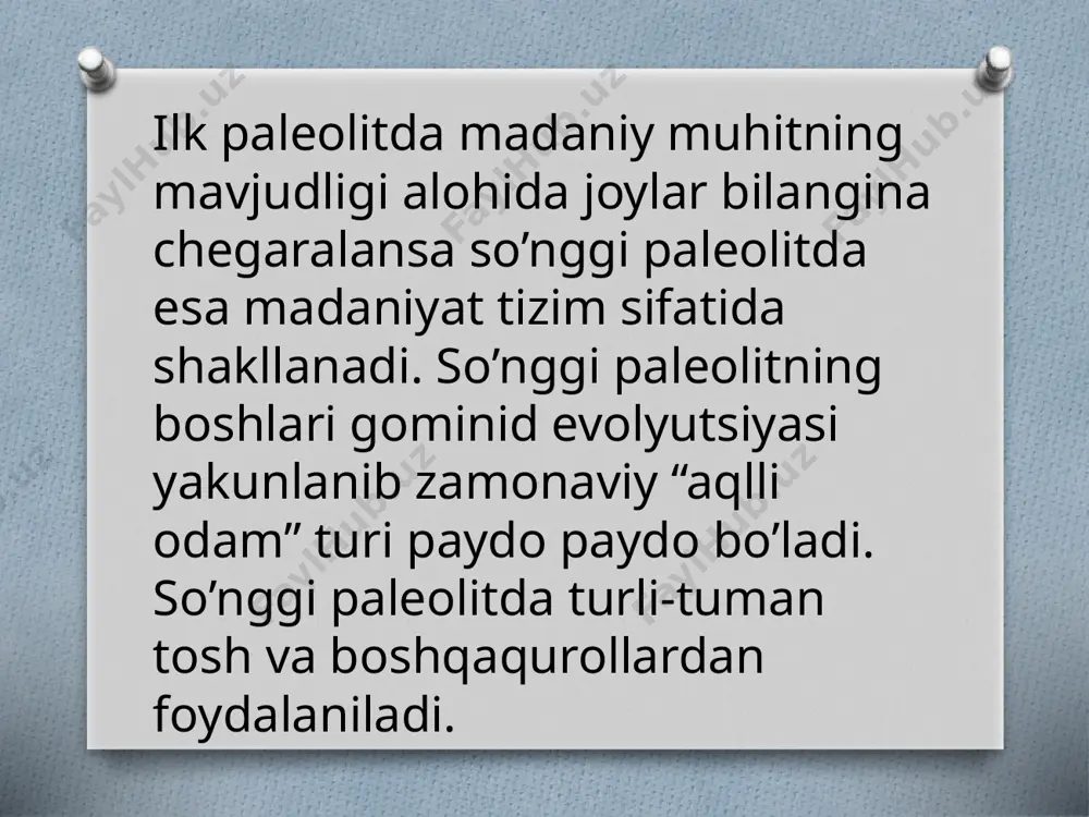 58º shimoliy kenglik, 70,17º sharqiy uzunlik; mutloq balandligi 1495 m) vodiy bo’ylab ii terassa bortidan yuqoriroqda joylashgan. ana shu joyda 2-terassa bilan vodiyning pastki chuqurlik joyi bilan oraliq maydon saqlanib qolgan (eni 50 - 70 m). ushbu yarim terassaning qirrasi yirik yemirilgan g’o’lalar bilan o’ralgan va uning terassadan balandligi 1 - 3 m. to’daxotin 2 makoni (dodekatыm 2) (41º34′20,4″ shimoliy kenglik, 70º09′48,9″, mutloq balandligi 1496 m) to’daxotin 1 makonidan 140 m g’arbroqda, ikkinchi terassaning qirg’og’ida joylashgan. qazib o’rganilgan maydondagi g’ovak qatlamlarning umumiy qalinligi 3 m ga yetadi. yuqori 130 sm lik qatlam kulrang-qo’ng’ir qumloqdan iborat (115 sm chuqurlikda qo’ng’ir qatlamcha uchraydi uning orasida chirigan qo’ng’ir organik material aralashgan va qalinligi 2 sm). yodgorlikda dastavval artefaktlarga ega 8 ta qatlam ajratilgan bo’lib, 2006-2007 yillardagi aniq planigrafik va stratigrafik tadqiqotlar bu yerda 5 ta madaniy qatlamlar mavjudligini ko’rsatdi. ushbu qatlamlarning eng ustkisi chim tuproq qatlam bo’lib, u paleolit davri buyumlari bilan birga …