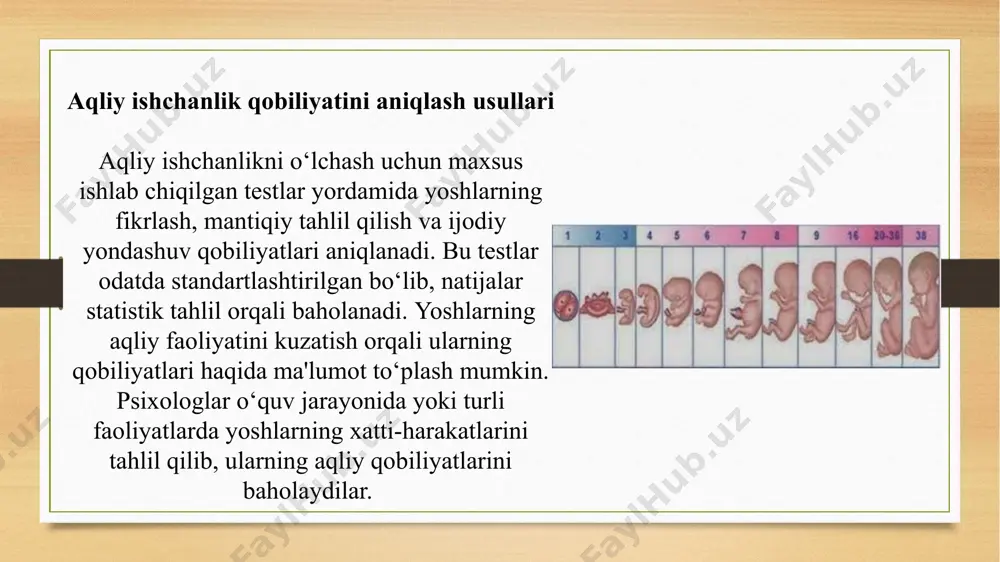 yosh fiziologiyasi aqliy ishchanlik qobilyatini aniqlash - Page 5