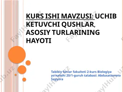 uchib ketuvchi qushlar — PPTX