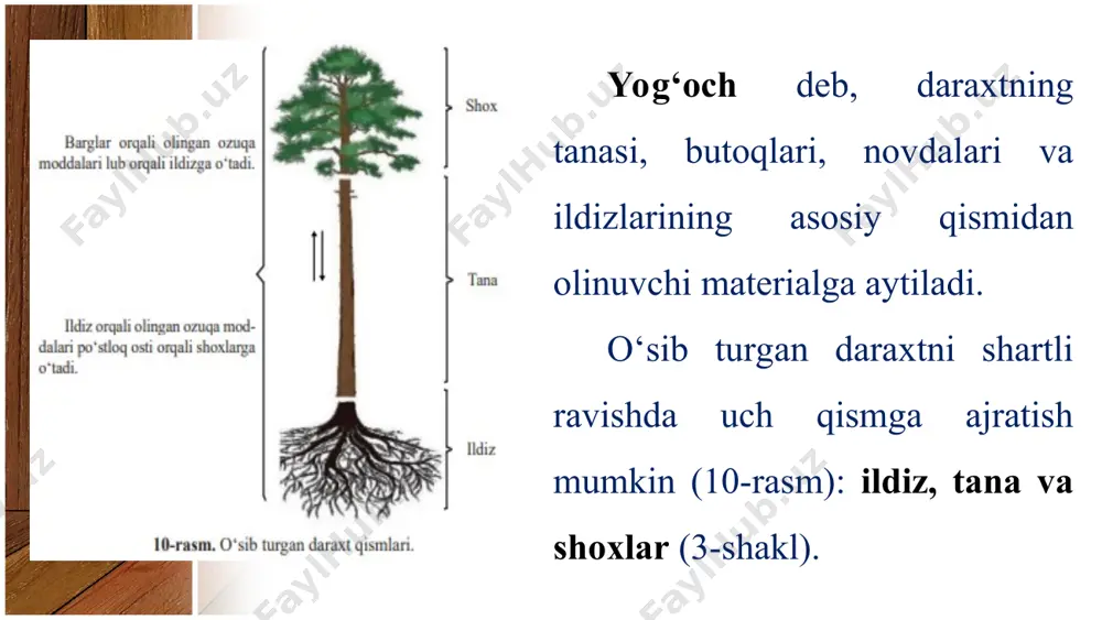yog‘och tabiiy konstruksion material sifatida 5-sinf - Page 4