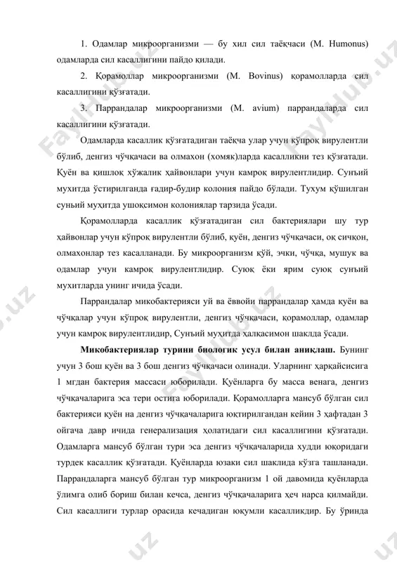 роқ вирулентли, денгиз чўчқачаси, қорамоллар, одамлар учун камроқ вирулентлидир, сунъий муҳитда ҳалқасимон шаклда ўсади. микобактериялар турини биологик усул билан аниқлаш. бунинг учун 3 бош қуён ва 3 бош денгиз чўчқачаси олинади. уларнинг ҳарқайсисига 1 мгдан бактерия массаси юборилади. қуёнларга бу масса венага, денгиз чўчқачаларига эса тери остига юборилади. қорамолларга мансуб бўлган сил бактерияси қуён на денгиз чўчқачаларига юқтирилгандан кейин 3 ҳафтадан 3 ойгача давр ичида генерализация ҳолатидаги сил касаллигини қўзғатади. одамларга мансуб бўлган тури эса денгиз чўчқачаларида худди юқоридаги турдек касаллик қўзғатади. қуёнларда юзаки сил шаклида кўзга ташланади. паррандаларга мансуб бўлган тур микроорганизм 1 ой давомида қуёнларда ўлимга олиб бориш билан кечса, денгиз чўчқачаларига ҳеч нарса қилмайди. сил касаллиги турлар орасида кечадиган юқумли касалликдир. бу ўринда шуни айтиш керакки, қорамоллар силининг кўзғатувчиси бошқа турдаги ҳайвонлар, шунингдек одамларда ҳам учраши мумкин ва аксинча ҳоллар ҳам тез-тез кузатилади. шуни қайд қилиш лозимки, сил касаллигининг уч турдаги қўзғатувчиси касалга чалинган одамлар, қорамоллар, йилқи, …