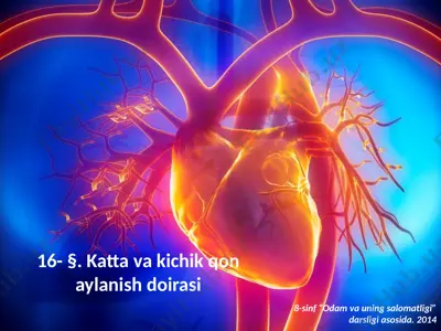 katta va kichik qon aylanish doirasi. 8 - sinf — PPTX