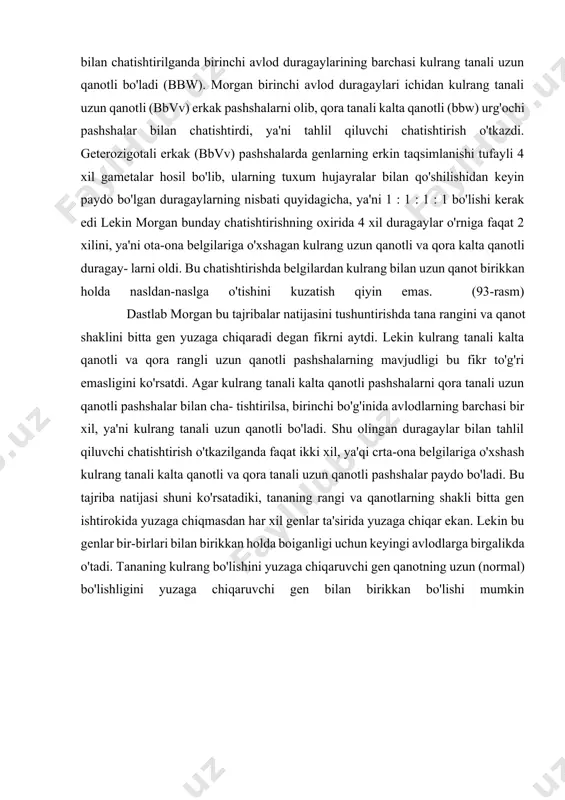rchasi kulrang tanali uzun qanotli bo'ladi (bbw). morgan birinchi avlod duragaylari ichidan kulrang tanali uzun qanotli (bbvv) erkak pashshalarni olib, qora tanali kalta qanotli (bbw) urg'ochi pashshalar bilan chatishtirdi, ya'ni tahlil qiluvchi chatishtirish o'tkazdi. geterozigotali erkak (bbvv) pashshalarda genlarning erkin taqsimlanishi tufayli 4 xil gametalar hosil bo'lib, ularning tuxum hujayralar bilan qo'shilishidan keyin paydo bo'lgan duragaylarning nisbati quyidagicha, ya'ni 1 : 1 : 1 : 1 bo'lishi kerak edi lekin morgan bunday chatishtirishning oxirida 4 xil duragaylar o'rniga faqat 2 xilini, ya'ni ota-ona belgilariga o'xshagan kulrang uzun qanotli va qora kalta qanotli duragay- larni oldi. bu chatishtirishda belgilardan kulrang bilan uzun qanot birikkan holda nasldan-naslga o'tishini kuzatish qiyin emas. (93-rasm) dastlab morgan bu tajribalar natijasini tushuntirishda tana rangini va qanot shaklini bitta gen yuzaga chiqaradi degan fikrni aytdi. lekin kulrang tanali kalta qanotli va qora rangli uzun qanotli pashshalarning mavjudligi bu fikr to'g'ri emasligini ko'rsatdi. agar kulrang tanali kalta qanotli …