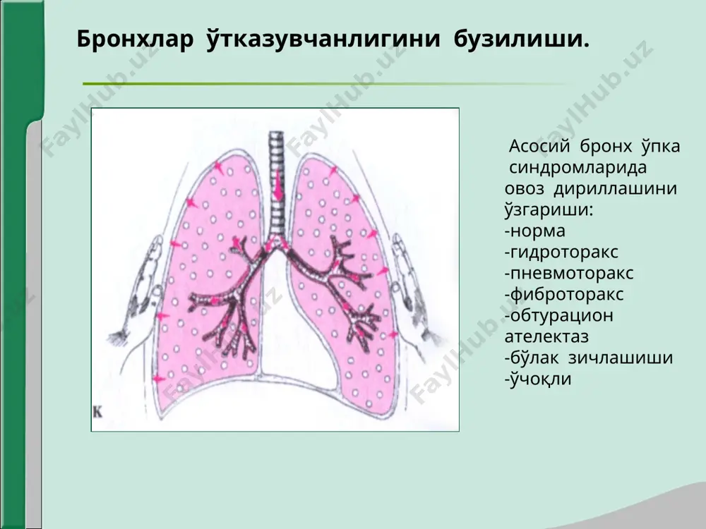 нафас органлари касалликларида асосий клиник синдромлар - Page 5