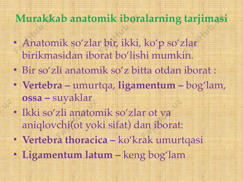 ima qilishda iboraning so’ngidan, y’ani oxirgi qaratqich kelishigidagi guruhdan boshlab tarjima qilinadi. murakkab anatomik iboralar tarjima qilish nom nom gen gen gen 5 4 3 2 1 ramus profundus arteriae transversae colli bo‘yinning ko‘ndalang arteriyasining chuqur shoxi plica tunicae mucosae vesicae felleae o‘t pufagining shilliq pardasining burmasi o’zbek tilidan lotin tiliga tarjima qilishda avval bosh kelishikdagi guruh, so’ng qaratqich kelishigidagi guruhlar ketma-ket tarjima qilinadi. murakkab anatomik iboralar tarjima qilish • 1-qoidaga asoslangan holda avval otlar topildi va ular guruhlarga ajratildi. bu jumlada 3 ta ot bo’lib, 3 ta guruhni ham tashkil qildi. ular: ramus (1-guruh), arteriae (2-guruh), colli (3-guruh). murakkab anatomik iboralar tarjima qilish • 2. ramus profundus / arteriae transversae / colli. • 2- qoidaga bo’yicha qaysi ot bilan qaysi sifat moslashib kelayotgani aniqlandi. bular: ramus profundus / 1-guruh, /arteriae transversae / 2-guruh / colli / 3-guruh. murakkab anatomik iboralar tarjima qilish • 3. ramus profundus / arteriae transversae …