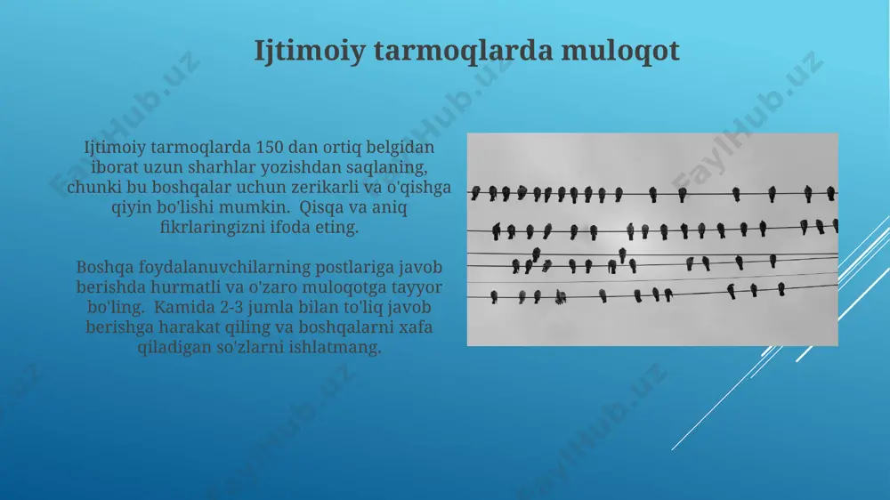 tarmoq odob axloqi - Page 3