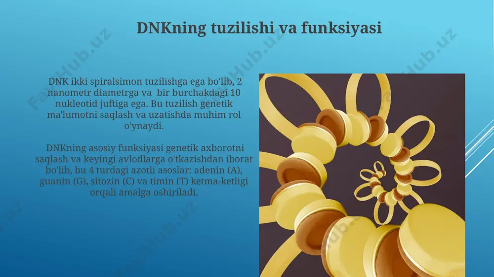 irsiyatning molekulyar asoslari - Page 3