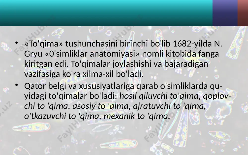 o‘simlik to‘qimalari. 6 - sinf - Page 4