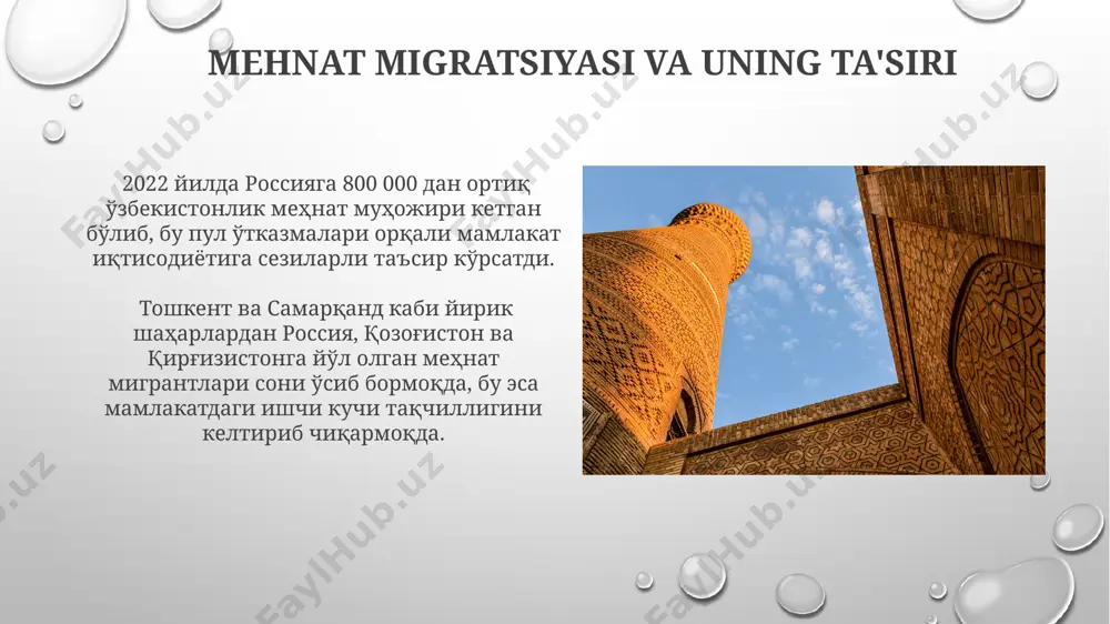 oʻzbekistonda tashqi migratsiya - Page 5