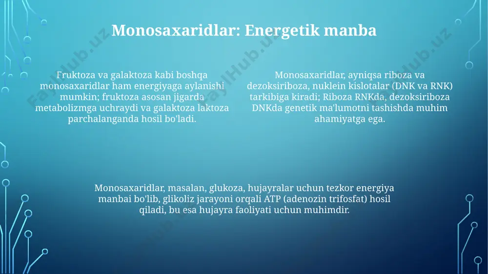parchalab, energiya hosil qiladi. suvning yuqori issiqlik sig'imi, ayniqsa 4.184 j/g°c, hujayralarni haddan tashqari harorat o'zgarishlaridan himoya qilib, termal barqarorlikni ta'minlaydi va fermentativ reaksiyalarni optimallashtiradi. hujayraning kimyoviy tarkibi: kirish oqsillar hujayraning 10-20% ini tashkil etib, fermentlar, antitelolar va strukturaviy elementlar vazifasini bajaradi, ularning murakkab tuzilishi funksiyasini belgilaydi. uglevodlar, lipidlar va nuklein kislotalar hujayraning qolgan qismini tashkil etadi; uglevodlar energiya manbai, lipidlar esa membrana tuzilishi uchun muhimdir. hujayraning 70-80% ini tashkil etuvchi suv, bevosita metabolik jarayonlarda qatnashadi va eruvchanlik xususiyati tufayli muhim moddalarni tashiydi. asosiy zahira moddalar: kraxmal va glikogen kraxmal, asosan o'simliklarda energiya zaxirasi sifatida xizmat qiladi, uning molekulalari minglab glyukoza qoldiqlaridan tashkil topgan bo'lib, alfa-1,4 va alfa-1,6 glikozid bog'lar orqali bog'langan. glikogen, hayvonlarda va zamburug'larda glyukozaning asosiy zaxira shakli hisoblanadi, kraxmalga o'xshab glyukozadan tashkil topgan, ammo alfa-1,6 bog'lanishlarining yuqori darajasi bilan farqlanadi. glikogenning tarmoqlangan tuzilishi kraxmaldan tezroq gidrolizlanishini ta'minlaydi, bu esa jismoniy faollik va energiya talabi yuqori bo'lgan paytlarda …
