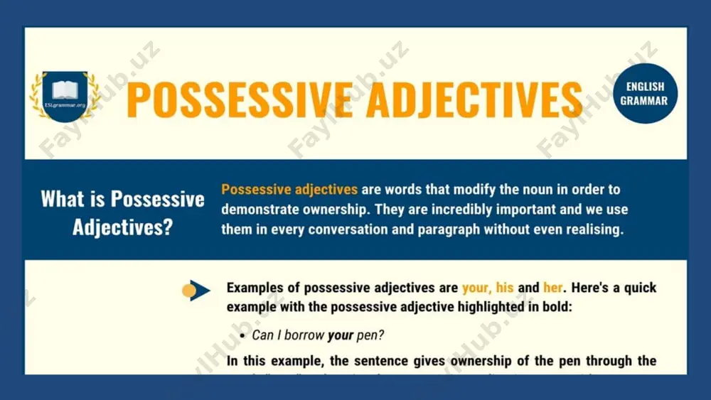 possessive adjectives in english - Page 2