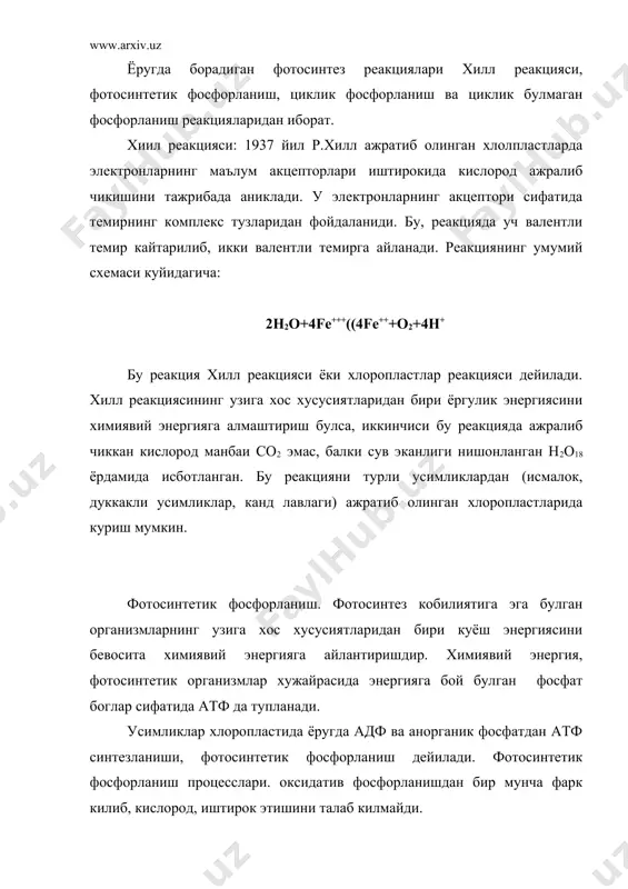 nадф(н2 карбонад ангидритдан углеводлар хосил булишида иштирок этади. усимликларнинг со2 узлаштириш ёругликни талаб килмайди ва коронгида осонлик билан боради. фотосинтез процессда коронгида борадиган реакциялар мавжудлигини ингслиз олими блэкман 1905 йили аниклаган. кейинчалик арнон ва бошка олимлар уз тажрибаларида сувутлар ва ажратиб олинган хлоропластлар киса муддат ичида ёритилгандан сунг, корогуда со2 узлаштиришни кузатганлар. карбонат ангидритни узлаштириш билан боглик булган коронгида борадиган реакциялар тугрисида факат биохимиянинг энг янги усулларини куллаш натижасида батафсил маълумотлар олинди.