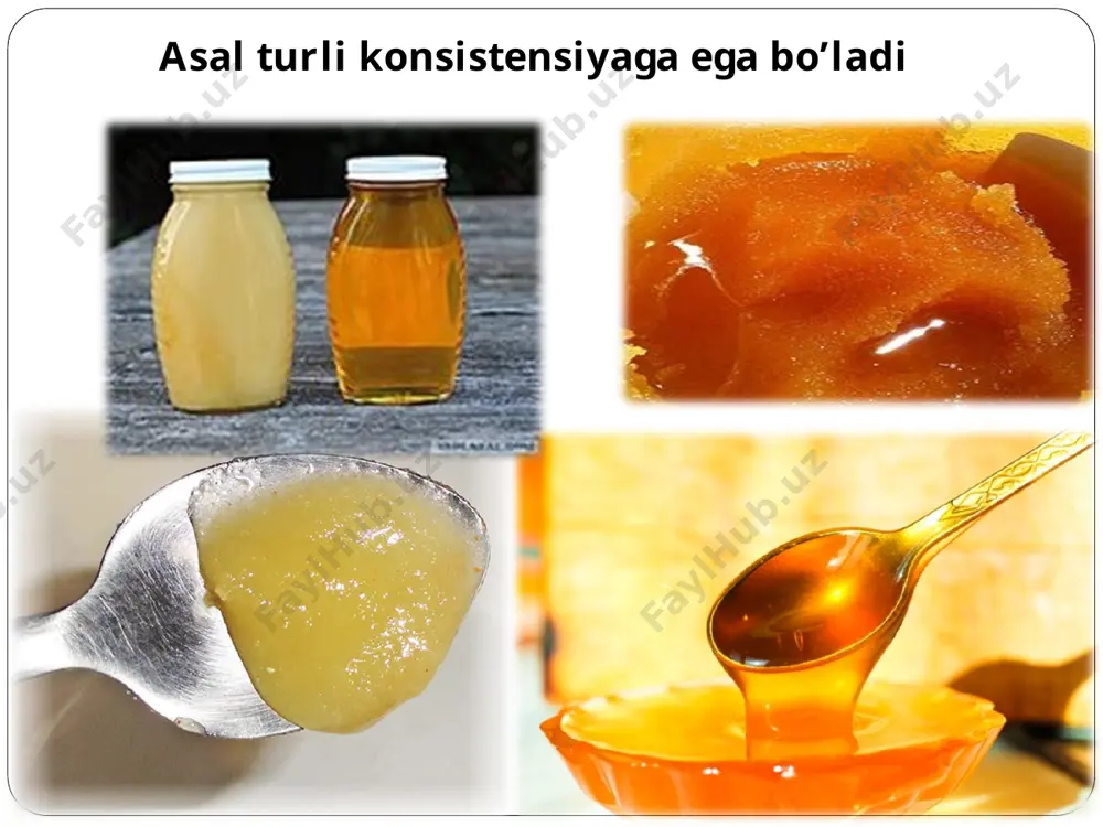 oizli osh tuzi eritmasi 0,5 0,5 0,5 0,5 0,5 0,5 0,5 0,5 0,5 0,5 0,5 1foizli kraxmal eritmasi 5 5 5 5 5 5 6 5 5 5 5 diastaza soni 50 38 29,4 23,8 17,9 13,9 10,9 8 6,5 4,4 3,3 shakar qiyomi aralashmasini aniqlash probirkaga 1:2 nisbatda tayyorlangan asal eritmasidan 5 ml olinib, ustiga 5-10 tomchi 5 foizli kumush nitrat tomiziladi. (5 g 95 ml distirlangan suvda eritiladi). agar reaksiya musbat bo‘lsa, loyqalanib oq cho‘kma beradi. tabiiy asal bo‘lsa cho‘kma bermaydi. kraxmal qiyomining aralashmasini aniqlash. asal tarkibiga kraxmal qiyomi qo‘shilganda xuddi shakar qiyomi qo‘shilgandek, o‘zgarish ro‘y beradi. 1. bariy xlori bilan reaksiya. probirkaga 5 ml 1:1 nisbatda tayyorlangan asal eritmasini filtrlanganidan olinib, ustiga tomchilanib 1 foizli bariy xlori tomiziladi. agar birinchi tomchini tomizgandan kolba ichidagi suyuqlik loyqalanib, oq cho‘kma bersa, kraxmal qiyomi qo‘shilganligini bildiradi. 2. nashatir spirti bilan reaksiya. probirkaga 1:2 nisbatda tayyorlangan asal eritmasidan 2 ml olinib, …