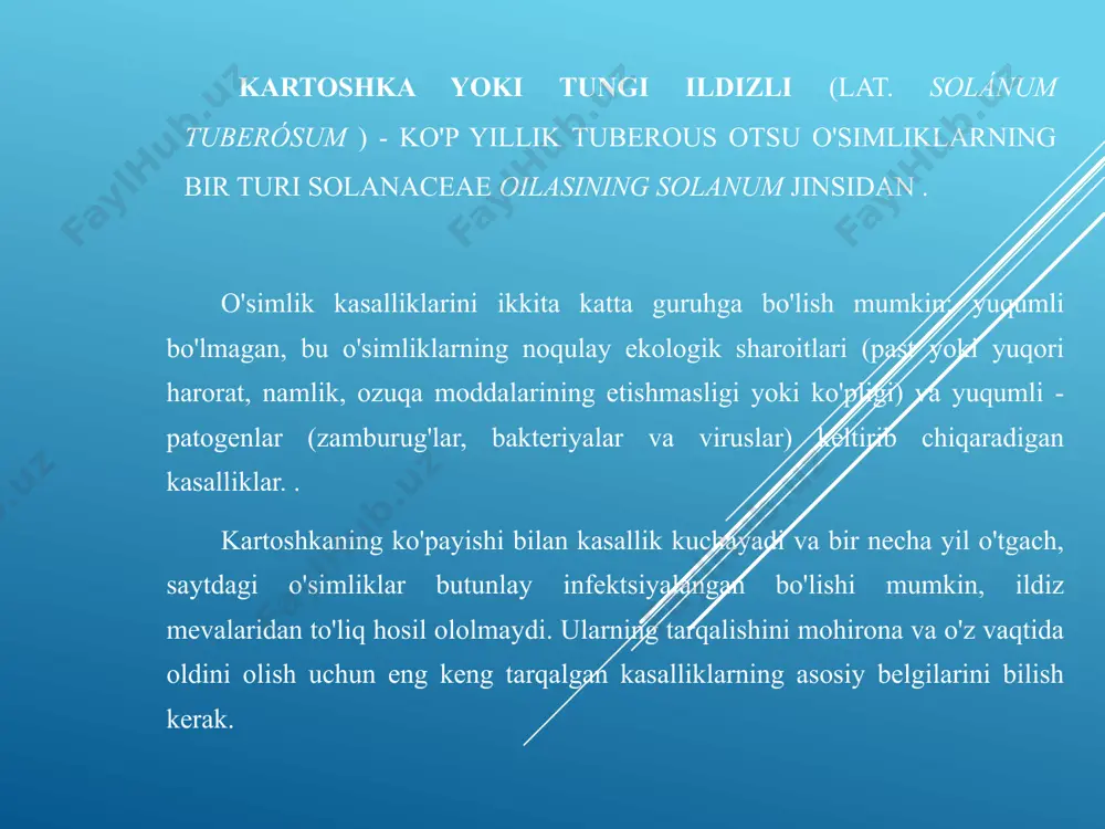 q oyoq" ning namoyon bo'lishi. nazorat choralari agrotexnik: almashlab ekish qoidalariga rioya qilish; mineral o'g'itlarni muvozanatli qo'llash; optimal muddatlari, tuberkulyar ekish chuqurligi va zichligi, qisqa muddatda hosilni yig'ib olish, talonni quritish. kimyoviy insektofungitsid preparati selest top, ks (0,4 l/t) bilan ekishdan oldin ildiz mevalarni ekishdan oldin stollarda ishlov berish , kvadris, sk (3,0 l/ga) fungitsidni tuproqqa surtish. umumiy qoraqo'tir patogen streptomyces qo'tiri kasallik belgilari kasallik ildizlarga ta'sir qiladi, lekin ko'proq ildiz. yangi qazilgan ildiz mevalarda mitseliydan va patogenning sporulyatsiyasidan iborat oq o'rgimchak to'ri ko'rinadi. yastiqchalar atrofida tuberkulyar burmalar paydo bo'ladi, ular keyin diametri bir necha millimetrdan 1 sm gacha bo'lgan turli shakldagi quruq yaralar shaklini oladi, ular yorilishi mumkin. ko'pincha ular birlashib, doimiy qobiqli qobiq hosil qiladi. nazorat choralari umumiy qoraqo'tirga qarshi kurashish uchun ekish joyini almashtirish, ekish uchun sog'lom ildiz mevalaridan foydalanish va yog'ingarchilik kam bo'lgan ildiz shakllanishi davrida sug'orish samarali bo'ladi. kartoshkani urug'lantirish uchun yangi go'ng ishlatilmasligi kerak, …