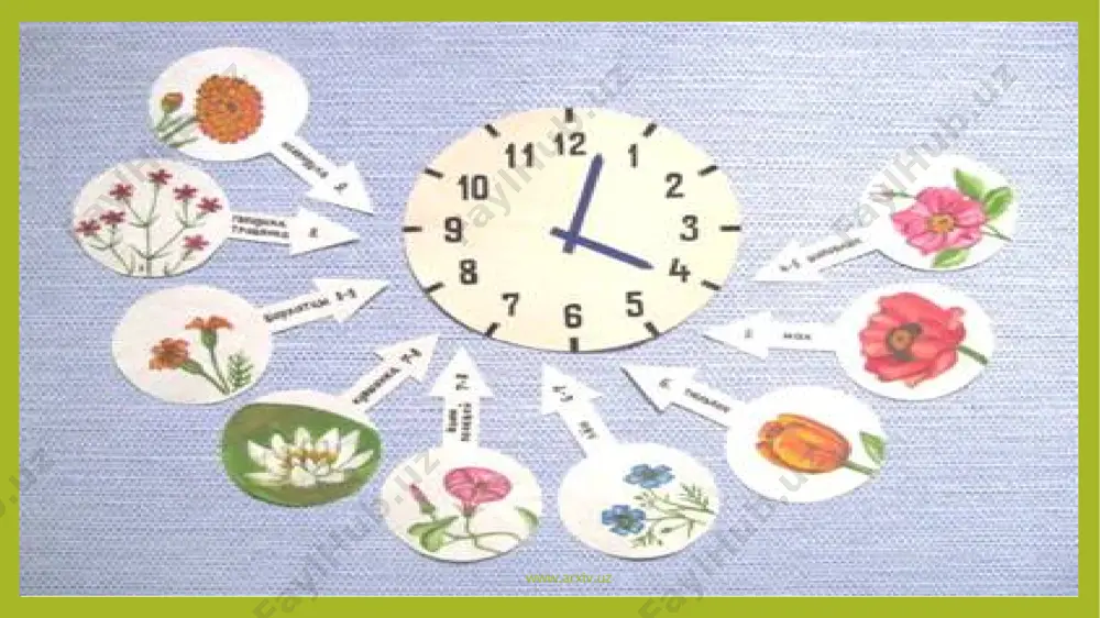 ar. hozirgi kalendar paydo bо`lgunga qadar odamlar yogoch va boshqa narsalarga о`yib kun, oy sanoqlarini sanash, kanop, arkon qabilarga tugun kо`yish, xurofiy alomatlar, rivoyatlar, qissalar orqali avlodlarga xabarlar yetkazganlar. bu odamlarga ov, ekin-tekin, yig`im-terim mavsumini aniqlash, asosan turmush zaruriyatidan kelib chiqib hisob olib borilgan. avvaliga bu о`lchov anchagina qо`pol, haqiqatdan birmuncha uzoq bо`lgan, albatta keyinchalik asrlar о`tishi bilan haqiqatga tobora yaqinlashib, aniqlashib borgan. inson madaniyat taraqqiyotining tobora vuqori bosqichlariga kо`tarilgani sari, uning umuman о`zini kurshab turgan olam tо`grisidagi va vaqt tо`grisidagi bilimlari ham tobora chuqurlashib, kengayib borgan. www.arxiv.uz www.arxiv.uz demak, ijtimoiy taraqqiyotning dastlabki bosqichlaridayoq kishilar ma`lum tabiiy xodisalarga bog`liq xolda vaqt tо`grisida tasavvurlarga ega bо`lganlar. kundalik ijtimoiy hayot talablari vaqtning о`lchov birliklarini oylab topish va ularni hisoblash zaruriyatini tugdiradi. biroq maxsus vaqt hisobining yaratilishi hamda uning hayotga keng kо`lamda qо`llanishi esa ijtimoiy mehnat taqsimoti bilan bog`liqdir. hozirgi paytda inson yerni, uning harakatini va uni kurshab turgan yulduzlarni о`rganib, vaqtni о`lchash …