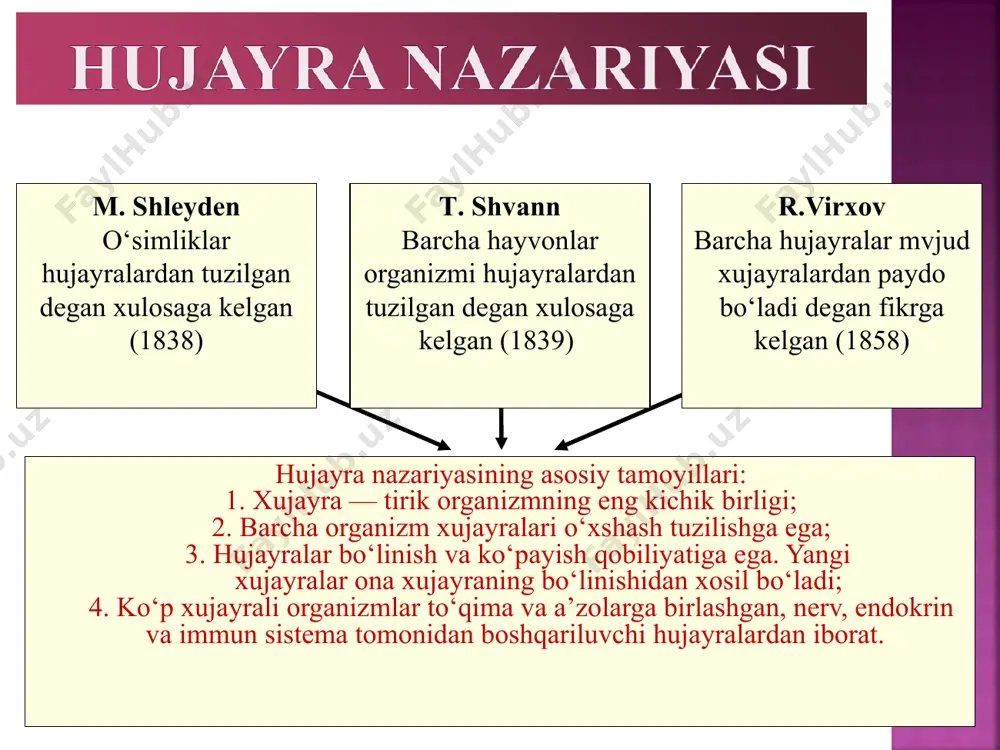qsil sintezi funksiyasi sitosklet hujayra markazi funksiyasi hujayraning bo‘linishida qatnashadi hujayra markazi ikki (ona v qiz) tsentriolalardan iborat. sentriolalarning har biri tsilindrsimon shaklga ega, devori 9 mikronaychalar tripletidan iborat. sentriolalar bir-biriga nisbatan perpendikulyar joylashgan. image5.png image6.png image7.png image8.png image9.jpeg image10.png image11.wmf image12.png image13.png image14.png image15.png image16.png image17.png image18.png image19.png image20.png image21.jpeg image22.png image23.png image24.jpeg image25.png image26.jpeg image27.png image28.jpeg image1.png