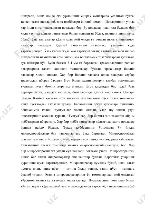оладиган тўрсимон иккита катта пуфак ҳосил қилади. пуфакларнинг ичи хаво билан тўлган, шунга кўра қарағай чанги шамолда осон тарқалиб, чангланишга сабаб бўлади. микроспора моддаси қуюқ плазма билан ядродан иборат. микроспоралар чангдон очилмасданоқ, унинг ичида уна бошлайди. уларнинг униши шундан иборатки, микроспора ичида кичкина-кичкина иккита проталлиал ҳужайра пайдо бўлади, лекин бу ҳужайралар тез орада йўқолиб кетади. бу эркак гаметофитнинг бирдан-бир вегетатив ҳужайрасидир. кейин чанг ичида антеридиал ҳужайра пайдо бўлади, бу ҳужайра чанг пўсти ёнида туради. шу вақтда чангдон девори ёрилади ва икки ҳужайрали босқичда бўлган шу чанг шамол билан урғочи қуббаларга бориб тушади. урғочи қуббалари узун новда учида битта ёки иккитадан вужудга келади. уларда ҳам, худди эркак қуббалардагига ўхшаш, ўртасидан ўқ ўтади, бу ўққа тангачалар бириккан бўлади. қопловчи тангача деган кичкина тангача тўғридан-тўғри ўкда туради. шу тангача қўлтиғида, чети йўғон тортган бирмунча этдор ва йирик тангача — мева берувчи ёки уруғ берувчи тангача бор. бу тангачада, чунончи, унинг устки томонида, асосига …
