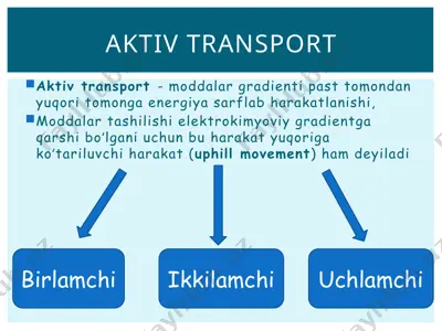 aktiv transport — PPTX