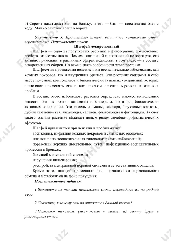 айге: а) своему другу в разговорном стиле; б) подготовьте очерк для газеты; и подробный отчёт о лекарственном шалфее. стили речи книжный научный официально-деловой разговорный публицистический художественный image1.jpeg
