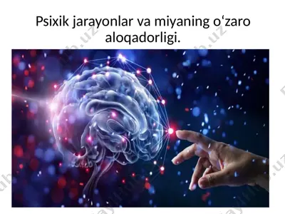 psixik jarayonlar — PPTX
