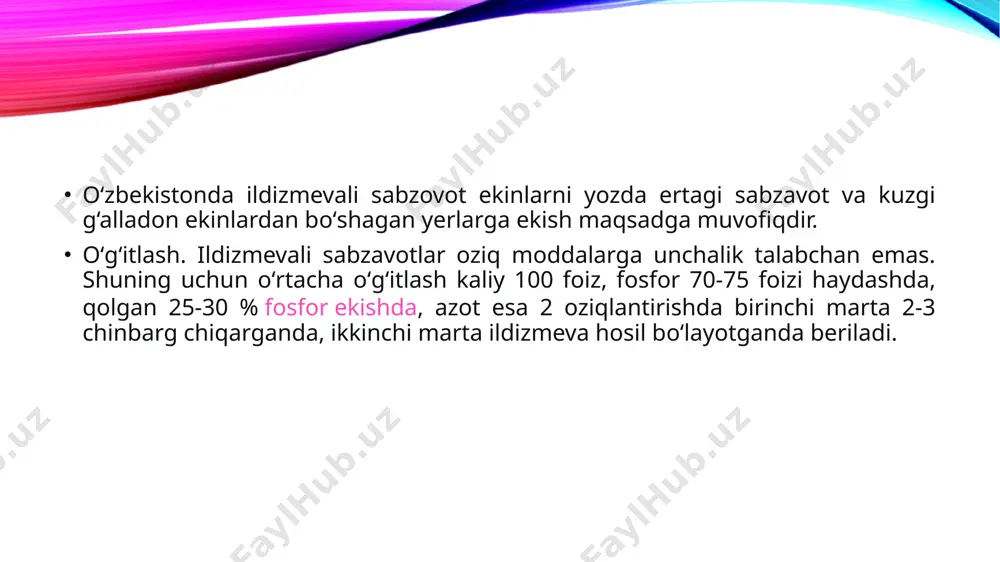 ildizmevali sabzavotlar - Page 4