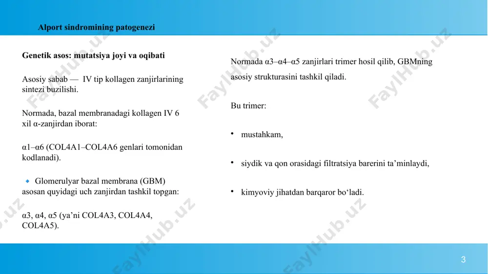 iruvlar umumiy siydik tahlili doimiy mikrogematuriya (asosiy belgisi); proteinuriya (ko‘pincha subnefrotik, ya’ni <3,5 g/kun); eritrotsitlar — morfologik jihatdan dismorfik (glomerulyar manbali). biokimyoviy qon tahlili kreatinin ↑ mochevina ↑ gfr ↓ (glomerulyar filtratsiya tezligi pasaygan) ba’zida yengil giperkaliyemiya yoki gipofosfatemiya. proteinogramma umumiy oqsil pasayadi (proteinuriya tufayli); albumin kamaygan. 10 morfologik (biopsiya) tekshiruvlar yorug’lik mikroskopiya usuli glomerullar segmental sklerozlangan tubulointerstisial fibroz ba’zida mezangial kengayish elektron mikroskopiya (diagnostik “oltin standart”) gbmning yupqalashuvi va qalinlashuvi birgalikda; “basket-weave” ko‘rinish (lamellar tuzilma, parchalangan lamina densa); podotsitlarning distrofiyasi. aynan elektron mikroskop orqali alport tashxisi morfologik tasdiqlanadi. 11 immunoflyuoresan tahlil tip iv kollagen α5-zanjiri yo‘q yoki kam ifodalangan bu xususiyat alportni boshqa glomerulonefritlardan farqlaydi. ko‘z tekshiruvi oftalmoskopiya, biomikroskopiya yordamida: anterior lentikonus (linzaning old kapsulasi shishgan), makulyar dog‘lar, retinal flek-pigmentatsiya. agar lentikonus topilsa — bu alport sindromiga deyarli 100% xos belgi. 12 alport sindromini davolash. ace ingibitorlari (angiotenzin-konvertaza fermenti ingibitorlari) enalapril ramipril lisinopril ta’sir mexanizmi: afferent va efferent arteriol …
