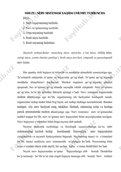 nerv sistemasining umumiy tushunchasi — PDF