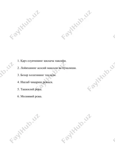 qarz oluvchining qisqacha ta'rif — DOC