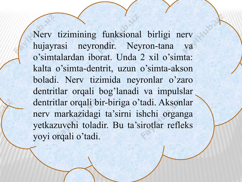 iborat bo`lib, bosh miyaning eng rivojlaigan qismidir. ikkita yarim shar bir-biri bilan gorizontal plastinka, qadoqsimon tana yordamida birikadi. har bir yarim sharning miya qopqog`i (plashi), xid bilish miyasi, asosiy markaziy bo`laklari va ikkita yon qorinchasi bo`ladi. ikkita yarim shar bir-biridan uzunasiga ketgan yoriq bilan ajraladi. yarim sharning ustki qismida juda ko`p pushta va egatchalar bor, har bir yarim sharning tashqi, ichki va pastki yuzasi bor. miya yarim sharlarning katta egatchalari uni beshta: peshona, tepa, ensa, chekka va orolcha bo`laklariga ajratadi. silviev egatchasi miya yarim sharlarining asosidan boshlanib, orqaga va bir oz yuqoriga ko`tariladi, miya katta yarim sharlarining chekka bo`lagani boshqalardan ajratadi. roland yoki markaziy egatcha miya yarim sharlarning yuqoriga chetidan o`rtada silviev egati tomon pastga yunalgan bo`lib, katta yarim sharlarning peshona bo`lagini tepa bo`lagidan ajratadi. ensa-tepa egatchasi katta miya sharlarining orqa tomonidan kundalang yo`nalgan bo`lib, ensa bo`lagini tepa bo`lagidan ajratadi. har qaysi bo`lakda mayda egatchalar bo`lib, ular pushtalar yordamida bir-biridan …