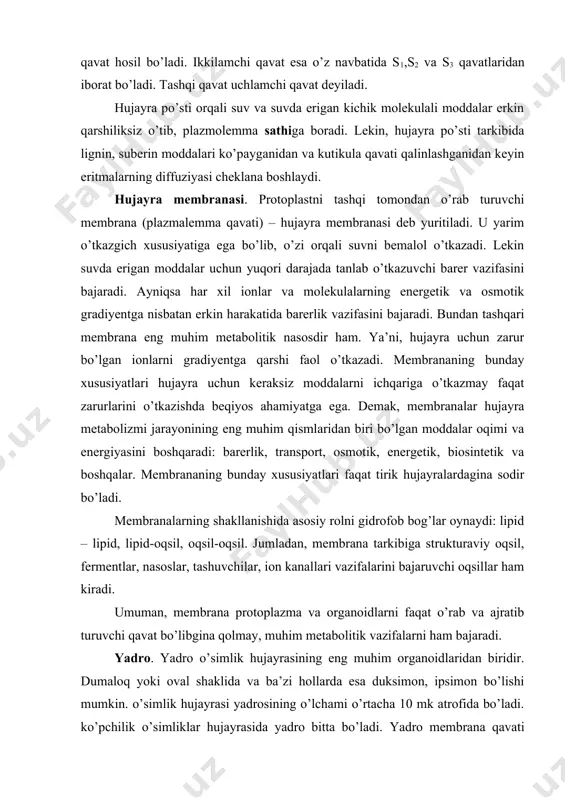 gi genetik informasiya saqlanadigan asosiy markaz sanaladi. endoplazmatik to’r. mazkur atamani 1945 yilda porter joriy qilgan. endoplazmatik to’r kanalchalar, pufakchalar va sisternalarning o’zaro tutashligidan iborat murakkab shoxlangan tur sistemasi ekanligi aniqlangan. bu sitoplazmada keng tarqalgan va membrana strukturasi bo’lib, asosan juft membranalik kanallar sistemasini tashkil etadi. membrananing qalinligi 5-7 nm atrofida, kanallarning ichki diametri 30-50 nm gacha bo’ladi. endoplazmatik tur kanalining ichi suyuqlik bilan to’la. endoplazmatik tur membranasining yuzasi silliq yoki granulyar (burtmachali) bo’ladi. silliq membranada asosan uglevodlar, lipidlar va terpenoidlar hosil bo’ladi. granulyar membranada esa oqsillar, fermentlar va boshqalar sintez qilinadi. endoplazmatik to’r membranasining ayrim joylarida ribosomalar ham joylashgan. ular oqsillarning sintez jarayonini taminlaydi. ribosomalar. ribosomalar endoplazmatik to’rda joylashgan eng kichik organoidlardir. ular 1955 yilda palada tomonidan ochilgan. ribosomalar elektron mikroskopda olingan rasmlarda dumaloq shaklda ko’rinib, diametri 20-30 nm ga teng. ribosomolarning har biri ikkitadan katta va kichik bo’lakchalardan tuzilgan. kattasining diametri 12-15 nm, kichiginiki esa 8-12 nm ga …