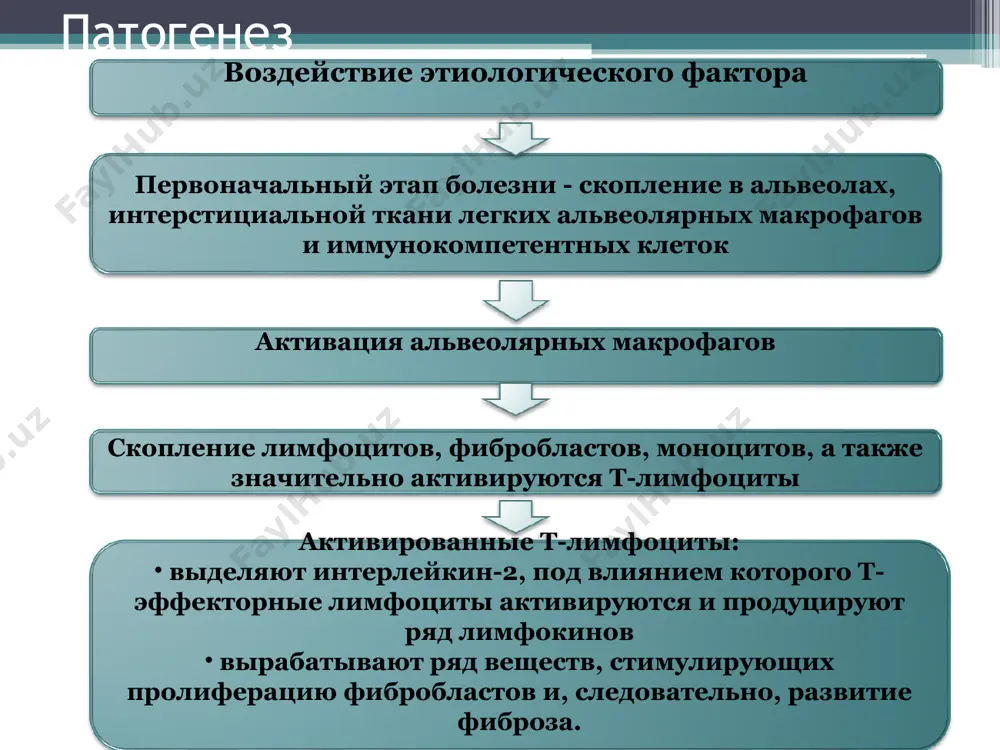 саркоидоз легких (болезнь бенье-бека-шауманна) - Page 5