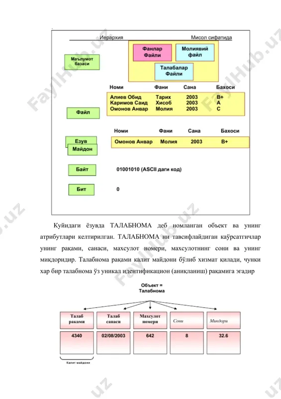 ўпламини ташкил қилаётганда жуда кўп хил кўринишдаги маълумот файллари хосил қиладилар ва улар бир-бири билан информацион нуқтаи-назардан боғлиқ бўлмаган бўладилар, хамда тегишли программаларнинг ўзаро маълумот алмашинишга тўсқинлик қиладилар ва халақит берадилар. хар бир амалий программа маълумот файлларининг бирор-бир қисминигина ишлатиши маълумот ишлаб чиқиш жараёнининг мураккаблашишига олиб келади. демак, бу холат вақтнинг, турли хил ресурсларнинг ва хотира хажмининг самарасиз ишлатилишига олиб келади. бунда программа-маълумот орасидаги боғлиқлик маълумот тузилиши ўзгарганда барча программаларни қайта созлаш каби қўшимча ишлар билан шуғулланишга мажбур қилади ва мослашувчанлик даражасини пасайтиради, маълумотларнинг хавфсизлигига путур етказади хамда бошқалар билан маълумот алмашинишни анча мураккаблаштиради. шунинг учун хам маълумот базалари (мажмуалари, тўпламлари) ишлатилиб, улар барча маълумотларни бир жойга тўплаш, осонликча тўлдириш, янгилаш, мослаштириш ва ўзаро алмашиниш имконини яратади. бундай маълумот базаларини бошқариш учун маълумот базаларини бошқариш системалари деб номланган амалий программалар ишлатилади. бу программавий таъминот махсус амалий программа бўлиб, турли хилдаги фойдаланувчиларга бир ката ва тўлиқ маълумот базасидан фойдаланиш имконини беради. …