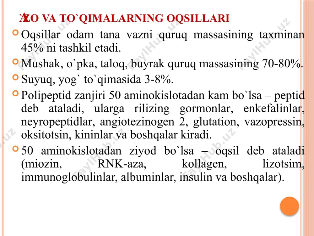 c6h5ch2 – o – c – nh – ch – c – nh – ch – c – oc2h5 o r o r o 5. himoyani yo`qotish [h] pd h2o h + h2n – ch – c – nн – ch – cooh + c6h5ch3 + co2 + c2h5oh r o r dipeptid dipeptid sintezi tripeptid sintezi peptid bo`glari bitta aminokislotaga kamaygan polipeptid ftg hosilasi peptidlarning asosiy vazifalari gormonal (rilizing, gormonlar, vazopressin, oksitosin, melanosit stimullovchi garmon, glyukagon) hazm qilish jarayonlarini boshqarish (gаstrin, хоletsistokinin, vazointestinal peptid) qon tomirlar tonusini va ab boshqarish (bradikin, kallidinн, аngotenzin 2) ishtahani boshqarish (lеptin, nеyropeptid y, mеlаnotsit stimullovchi garmon, β-endorfinlar) оg`riqni qoldiruvchi peptidlar (энкефалинлар, эндорфинлар, опиоид пептидлар) mns faoliyatini, uyqu, xotira, o`zlashtirish, xayajon, qo`rquv jarayonlarida ishtirok etuvchi peptidlar. oqsillar tuzilishi oqsilning birlamchi tuzilishi deb uning aminokislotalik tarkibi va aminokislotalik ketma-ketligiga aytiladi. oqsilning aminokislotalik tarkibi uning kislotali gidrolizidan keyin xosil bо‘lgan - aminokislotalarni taxlil qilib aniqlanadi. oqsilning …