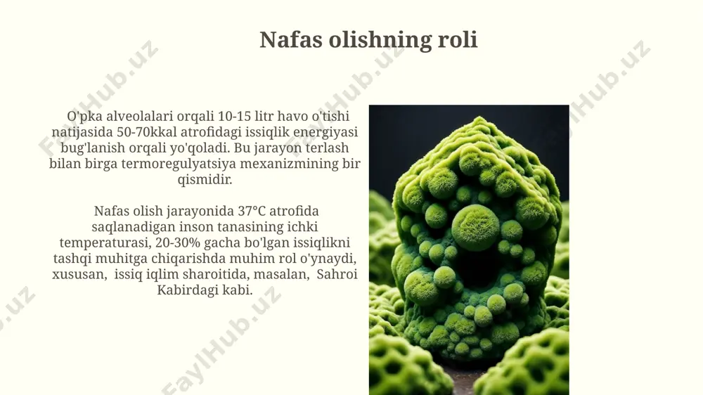 tirik organizmda issiqlik almashinuvining biofizik asoslari - Page 4