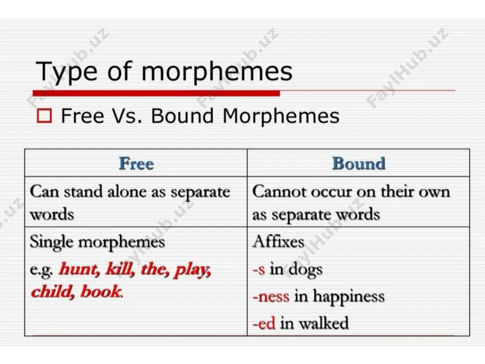 morphology - Page 3