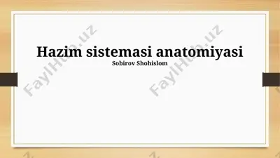 hazim sistemasi anatomiyasi — PPTX