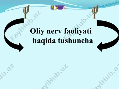 oliy nerv faoliyati — PPTX