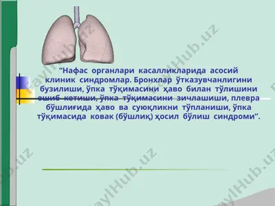 bronxlar o'tkazuvchanligini buzilishi — PPTX