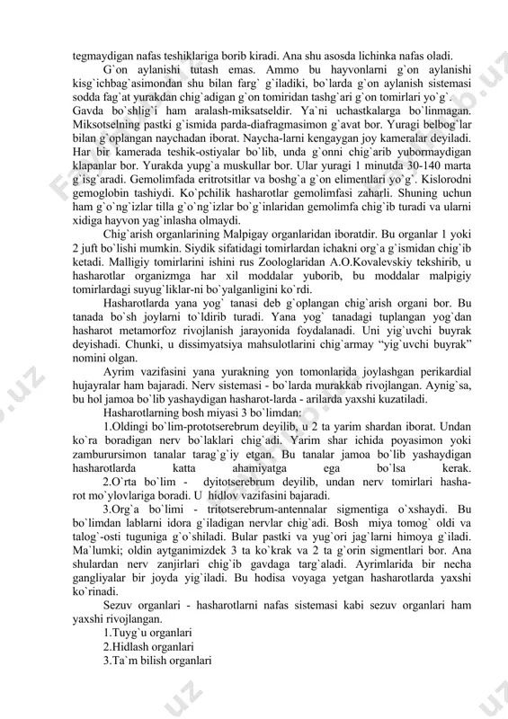 kengashi natijasida sodir bo`ladi. masalan: arilar 1 minutda g`orni 40 marta g`isg`arsa ishlaganida esa 120 marta g`isg`aradi. ninachilar 30-35 marta, kapalaklar g`orni esa 15 marta g`isg`aradi. suvda yashovchi g`o`ng`izlarni org`a tomonida - ya`ni elitralarida nafas olish teshiklari bo`lib, ular nafas olish uchun yug`origa org`a tomoni bilan ko`tariladi va shu davrda nafas oladi. boshg`a suv g`o`ng`izlari esa suvda erigan 0_ 2 _bilan nafas oladi. shunisi harakterliki elitralar tagida havo pufagini bo`lishi anig`langan. g`oidalar-suv chayoni (nepa cinerea)da gavdasini keyingi uchida uzun ko`rinishdagi joycha bo`lib, uning yonida o`simta mavjud. bu naychaning uzunligi 10 sm.gacha cho`ziladi. bu naychalar hasharotni g`orinda joylashgan va suv tegmaydigan nafas teshiklariga borib kiradi. ana shu asosda lichinka nafas oladi. g`on aylanishi tutash emas. ammo bu hayvonlarni g`on aylanishi kisg`ichbag`asimondan shu bilan farg` g`iladiki, bo`larda g`on aylanish sistemasi sodda fag`at yurakdan chig`adigan g`on tomiridan tashg`ari g`on tomirlari yo`g`. gavda bo`shlig`i ham aralash-miksatseldir. ya`ni uchastkalarga bo`linmagan. miksotselning pastki g`ismida parda-diafragmasimon g`avat …
