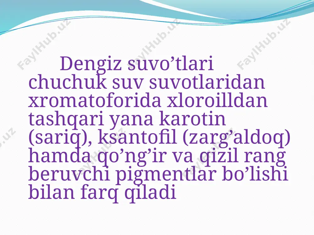 dengiz suvo’tlari - Page 3