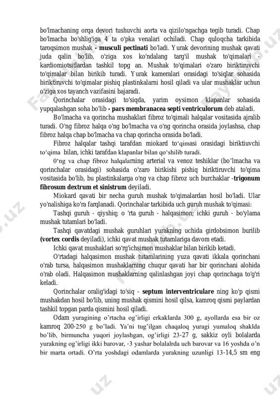imi alohida qisqarish xususiyatiga ega bo’ladi. bo’lmachalardagi mushaklar ikki qavatdan iborat bo’lib, tashqi qismida bo‘ylama mushak tolalari joylashadi. qorinchalar sohasidagi mushaklar uch qavatdan iborat bo’ladi. tashqi va ichki qavatda bo'ylama mushak to'qimalari joylashsa, o'rta qavatda esa har bir qorincha uchun alohida bo'lgan halqasimon mushak to'qimalari joylashadi. yurakning ichki yuzasini biriktiruvchi to'qimadan hosil bo'lgan endokard - endocardium qavati qoplab turadi. bu qavatning o'simtalari yurak klapanlarini hosil qiladi. o'ng bo'lmachaning ichki yuzasi silliq bo'lsada, oldingi devorining ichki yuzasida, quloqsimon hosilaga to'g'ri kelgan sohada bo'rtiq paydo bo'ladi. bu bo'rtiq taroqsimon mushaklar - musculi pectinati dan hosil bo'lad i. yuqori sohada taroqsimon mushaklar chegara qirrasi -crista terminalis dan boshlanadi. yurakning tashqi yuzasida bu qirra sohasi chegaradagi egat - sulcus term inalis ga to'g'ri keladi. oval chuqurcha atrofi ko'tarilgan bo'lib - limbus fossae ovalis deyiladi. o'ng bo'lmachaning orqa devorining ichki yuzasida yuqori va pastki kovak venalari orasida bo'rtiq - tuberculum intervenosum ko'rinadi. chap bo'lmachaning orqa …