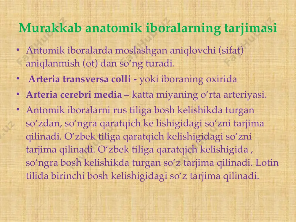 murakkab anatomik iboralar tarjimasi - Page 4