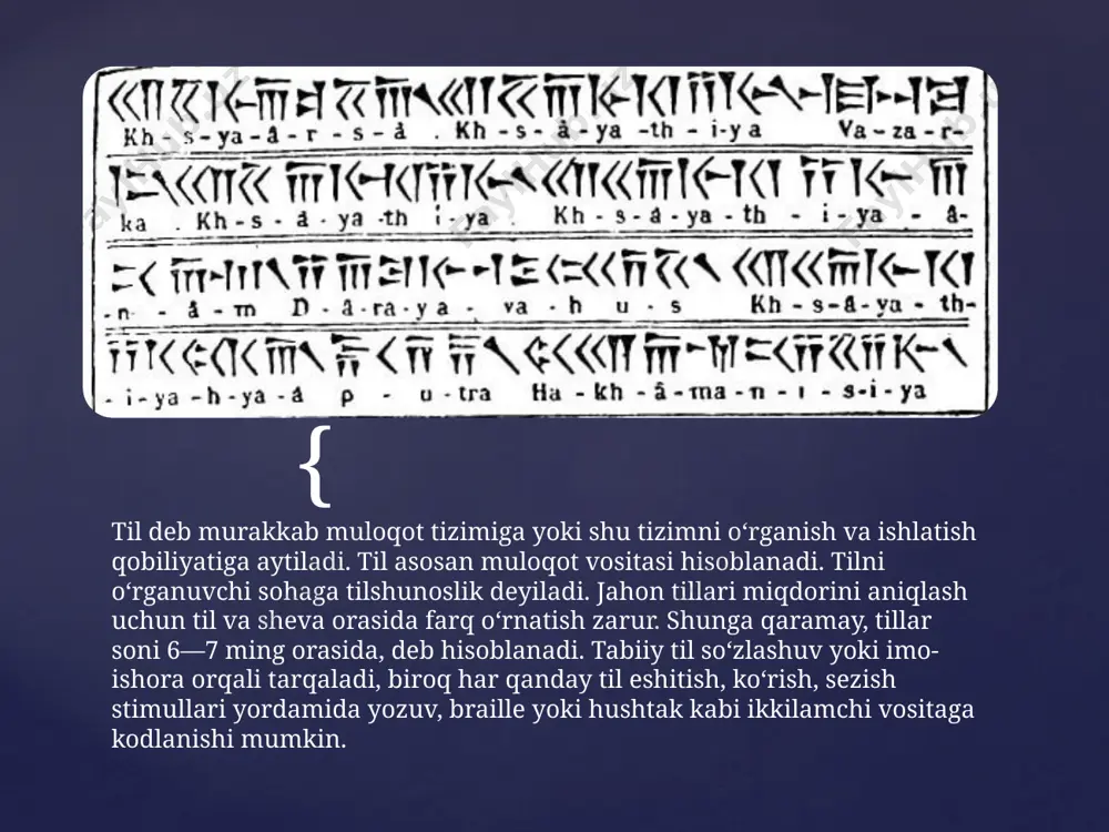 tilning paydo bo’lishi - Page 3