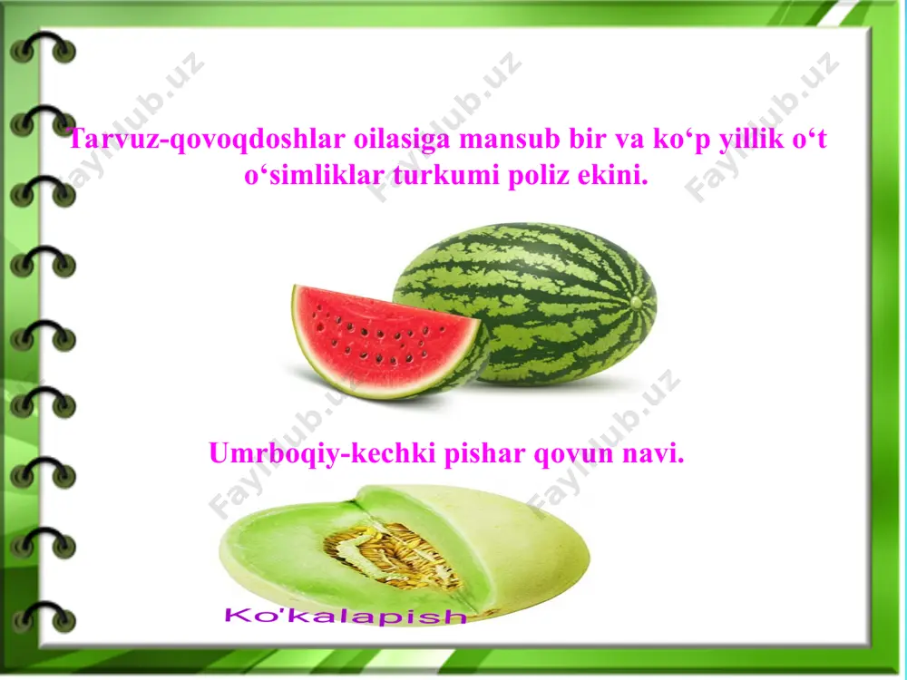 o‘quv mashg‘ulotlari - Page 4